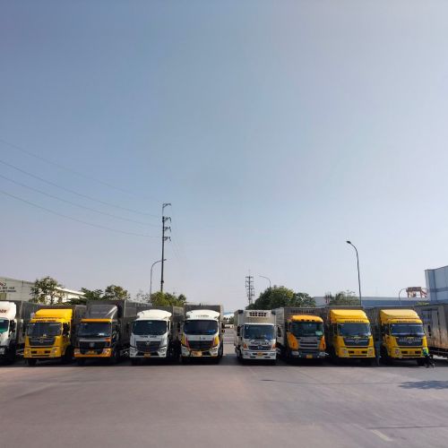 Hệ thống vận chuyển hàng hóa - Nâng hạ hàng hóa